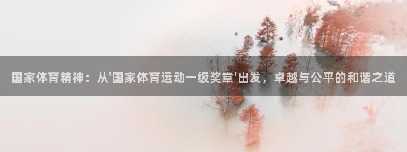 球宴体育app官方下载安卓：国家体育精神：从\'国家体育运动一级奖章\'出发，卓越与公平的和谐之道