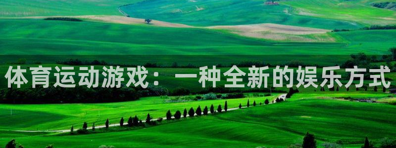 球宴体育app下载：体育运动游戏：一种全新的娱乐方式