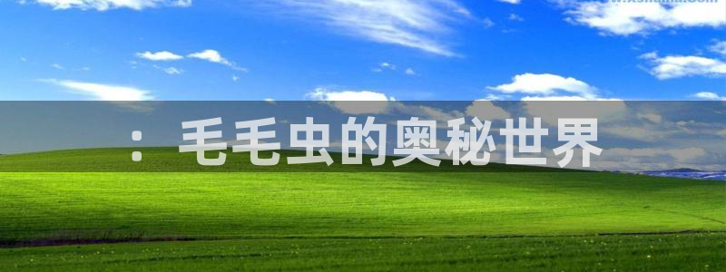 球宴体育下载最新版本更新内容：：毛毛虫的奥秘世界
