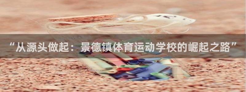 球宴体育app：“从源头做起：景德镇体育运动学校的崛起之路”
