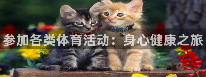 球宴体育iOS最新版本更新内容：参加各类体育活动：身心健康之旅