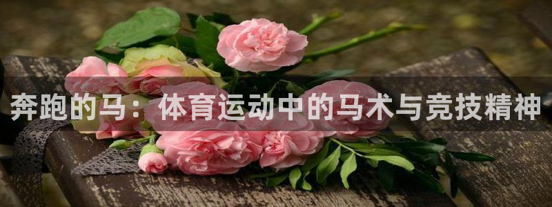 球宴体育网页：奔跑的马：体育运动中的马术与竞技精神