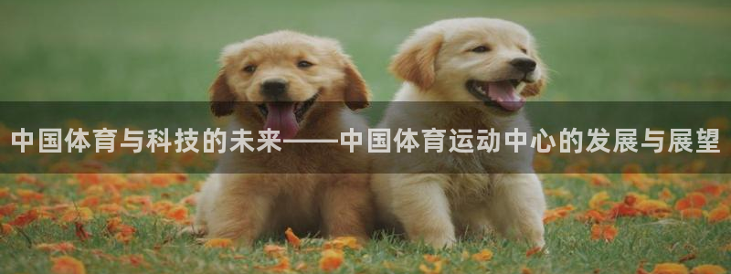 球宴体育下载app：中国体育与科技的未来——中国体育运动中心的发展与展望